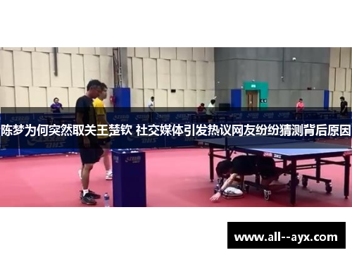 陈梦为何突然取关王楚钦 社交媒体引发热议网友纷纷猜测背后原因