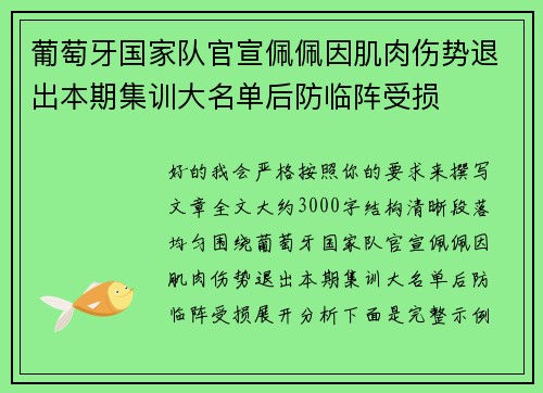 葡萄牙国家队官宣佩佩因肌肉伤势退出本期集训大名单后防临阵受损 葡萄牙国家队官宣佩佩因肌肉伤势退出本期集训大名单后防临阵受损